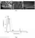 Fig. 02 - Positive manganese lithium oxide-stabilised electrode for a secondary lithium battery and a method for producing same