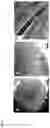 Fig. 06 - POSITIVE ACTIVE MATERIAL, METHOD OF PREPARING THE SAME, AND LITHIUM SECONDARY BATTERY INCLUDING THE SAME