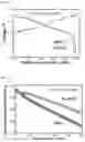 Fig. 22 - POSITIVE ACTIVE MATERIAL, METHOD OF PREPARING THE SAME, AND LITHIUM SECONDARY BATTERY INCLUDING THE SAME