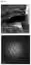 Fig. 28 - POSITIVE ACTIVE MATERIAL, METHOD OF PREPARING THE SAME, AND LITHIUM SECONDARY BATTERY INCLUDING THE SAME