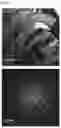 Fig. 33 - POSITIVE ACTIVE MATERIAL, METHOD OF PREPARING THE SAME, AND LITHIUM SECONDARY BATTERY INCLUDING THE SAME