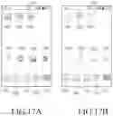 Fig. 19 - Mobile terminal and method for managing power thereof