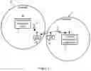 Fig. 02 - FEMTOCELL BASE STATION SYNCHRONIZATION