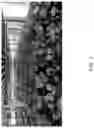 Fig. 02 - System and method for autonomous harvesting of mushrooms