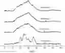 Fig. 01 - Nutritional recombination rice and preparation method thereof