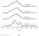 Fig. 03 - Nutritional recombination rice and preparation method thereof