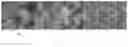 Fig. 04 - Nutritional recombination rice and preparation method thereof