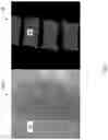Fig. 08 - AUGMENTED REALITY GUIDANCE SYSTEM FOR CARDIAC INTERVENTIONAL SURGERY