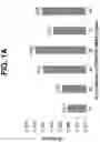 Fig. 02 - Tolerogenic liposomes and methods of use thereof