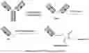 Fig. 10 - Compositions and methods of treating muscle atrophy and myotonic dystrophy