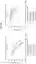 Fig. 22 - Compositions and methods of treating muscle atrophy and myotonic dystrophy