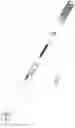 Fig. 02 - Torque wrench