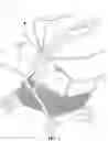 Fig. 02 - Baby carriage with storage basket and canopy