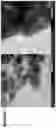 Fig. 09 - Systems, devices, and/or methods for reactive nano silicate