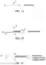 Fig. 02 - Methods, compositions, and kits comprising linker probes for quantifying polynucleotides