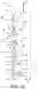 Fig. 21 - Systems and Methods for a Control Valve with an Intermediate Position