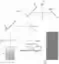 Fig. 01 - Confocal microscope