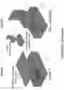 Fig. 23 - Confocal microscope