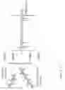 Fig. 28 - Confocal microscope