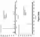 Fig. 29 - Confocal microscope