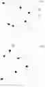 Fig. 04 - Liquid crystal devices