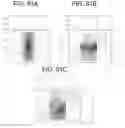 Fig. 167 - Obstacle recognition method for autonomous robots