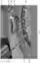 Fig. 06 - Virtual reality surgical training systems with advanced haptic feedback