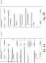 Fig. 07 - Advanced keyword search