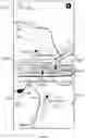 Fig. 40 - Methods and systems for managing pathways for interaction among computing devices based on geographic location and user credit levels