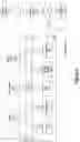 Fig. 04 - Enhanced natural language query segment tagging