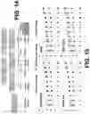 Fig. 11 - Real-time detection and localization of DoS attacks in NoC based SoC architectures