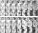 Fig. 01 - POSE INVARIANT FACE RECOGNITION