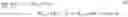 Fig. 11 - Anomaly augmented generative adversarial network