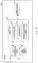 Fig. 05 - LEARNING SYSTEM, REHABILITATION SUPPORT SYSTEM, METHOD, PROGRAM, AND TRAINED MODEL