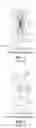 Fig. 02 - Architectures, systems and methods having segregated secure and public functions