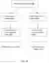 Fig. 61 - Platform for providing customizable user brand experiences, sponsorship junctions, and conversion attribution