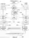 Fig. 28 - FINANCIAL REGULATORY COMPLIANCE PLATFORM
