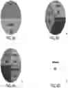 Fig. 06 - SYSTEMS AND METHODS FOR CUSTOMIZING A PORTFOLIO USING VISUALIZATION AND CONTROL OF FACTOR EXPOSURE