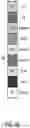 Fig. 07 - SYSTEMS AND METHODS FOR CUSTOMIZING A PORTFOLIO USING VISUALIZATION AND CONTROL OF FACTOR EXPOSURE