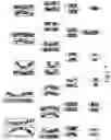 Fig. 08 - Method and system for training a separation of overlapping chromosome recognition model based on simulation
