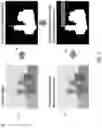 Fig. 04 - Automatic sizing and placement of text within a digital image