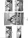 Fig. 08 - Automatic sizing and placement of text within a digital image
