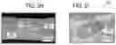 Fig. 07 - AUTOMATED AND ROBUST METHOD FOR RECORDING NM-RESOLUTION 3D IMAGE DATA FROM SERIAL ULTRA-SECTIONS OF LIFE-SCIENCES SAMPLES WITH ELECTRON MICROSCOPES