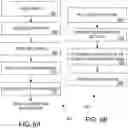 Fig. 11 - AUTOMATED AND ROBUST METHOD FOR RECORDING NM-RESOLUTION 3D IMAGE DATA FROM SERIAL ULTRA-SECTIONS OF LIFE-SCIENCES SAMPLES WITH ELECTRON MICROSCOPES