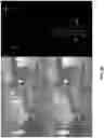Fig. 09 - Sensor calibration system for autonomous driving vehicles
