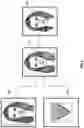 Fig. 07 - Entertaining mobile application for animating a single image of a human body and applying effects