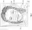 Fig. 08 - Entertaining mobile application for animating a single image of a human body and applying effects