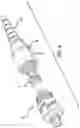 Fig. 06 - Apparatus for cleaning engine deposits