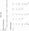 Fig. 04 - TEXT-TO-SPEECH (TTS) PROCESSING