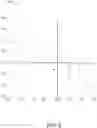 Fig. 11 - DETERMINING IMPACT ON PROPERTIES OF PROTEINS BASED ON AMINO ACID SEQUENCE MODIFICATIONS